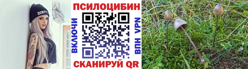 Псилоцибиновые грибы Magic Shrooms  Канск 